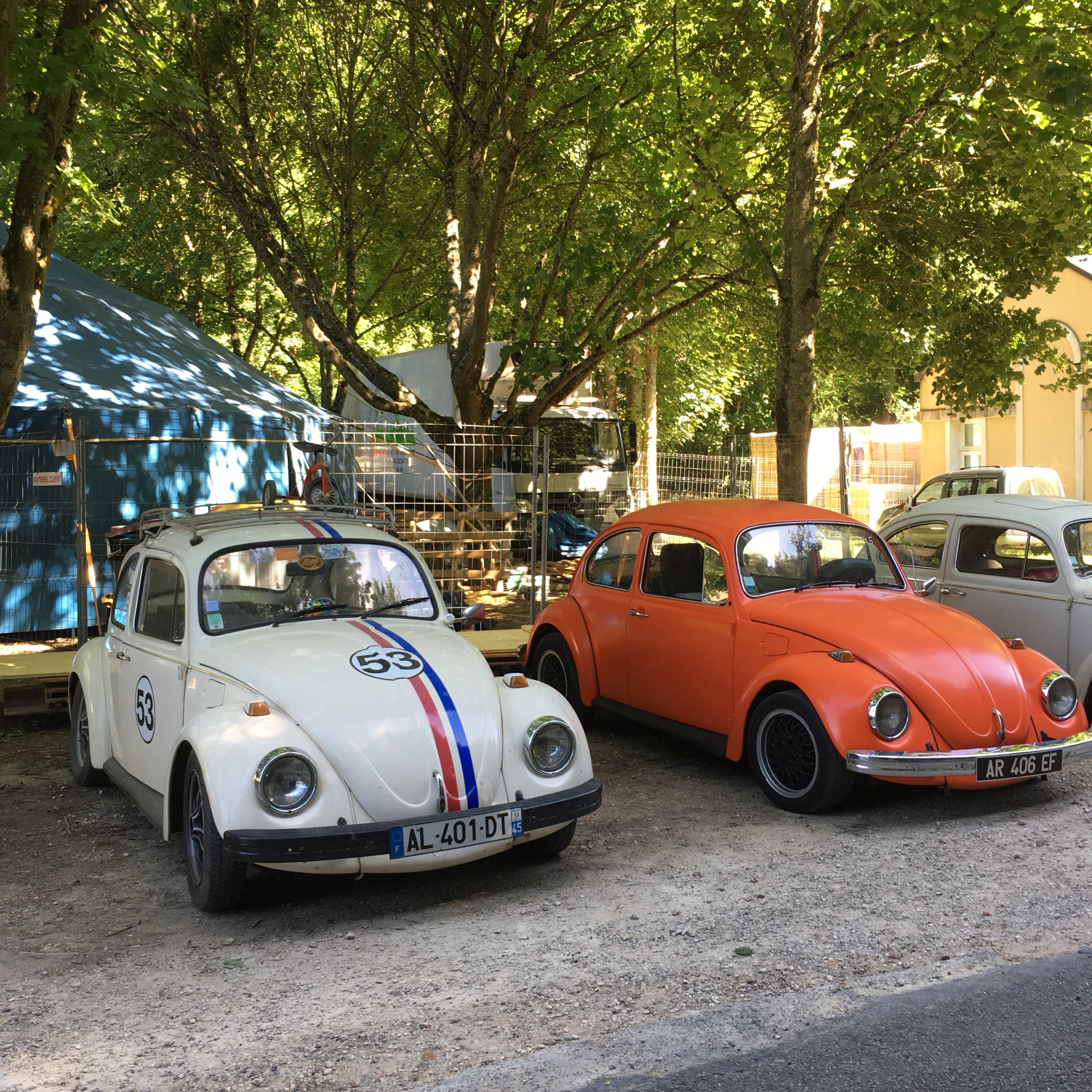 Coccinelle-local41